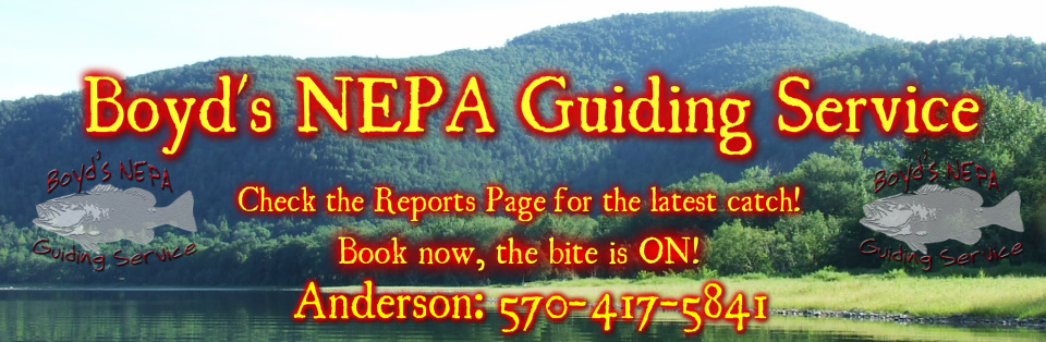 Boyds Nepa Guiding Rates, guided fishing trips rates in PA